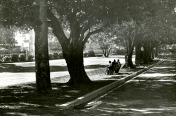 Musgrave Park 1948 (Brisbane City Council)