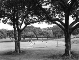 Cricket in Musgrave Park, 1950 (brisbane City Council)
