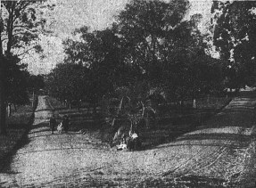 Musgrave Park 1925